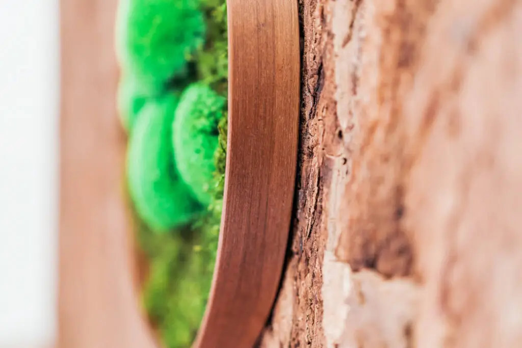 Detailaufnahme eines Moosbildes mit Holzrahmen und stabilisiertem Moos als natürliche Oberfläche